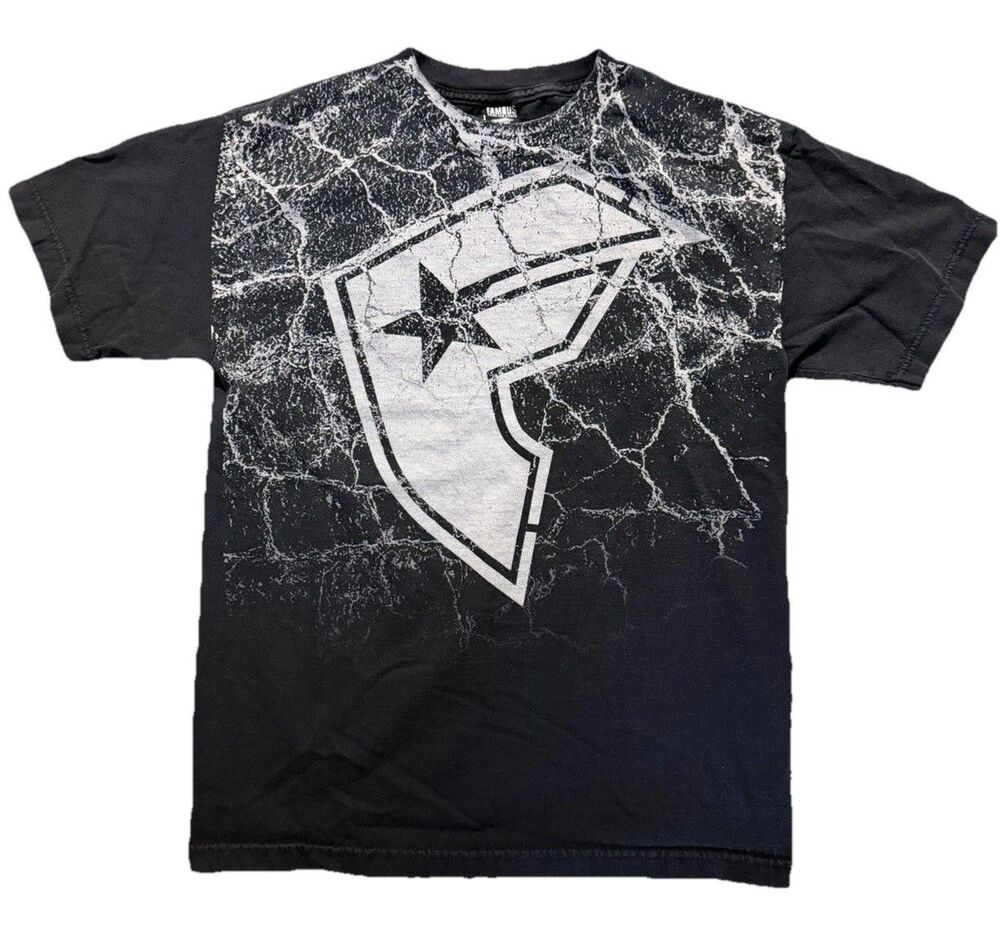 Famous Stars and Straps T Shirt M Black Cracked Logo Graphic Vintage Y2K Skate